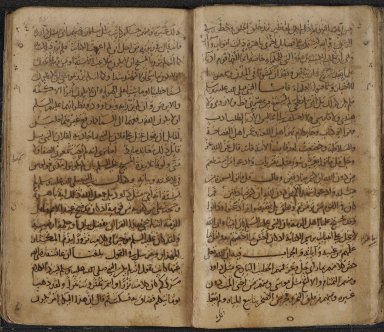 Double page opening