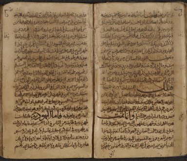 Double page opening