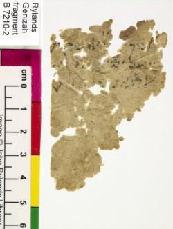 1 / 1 leaf, verso