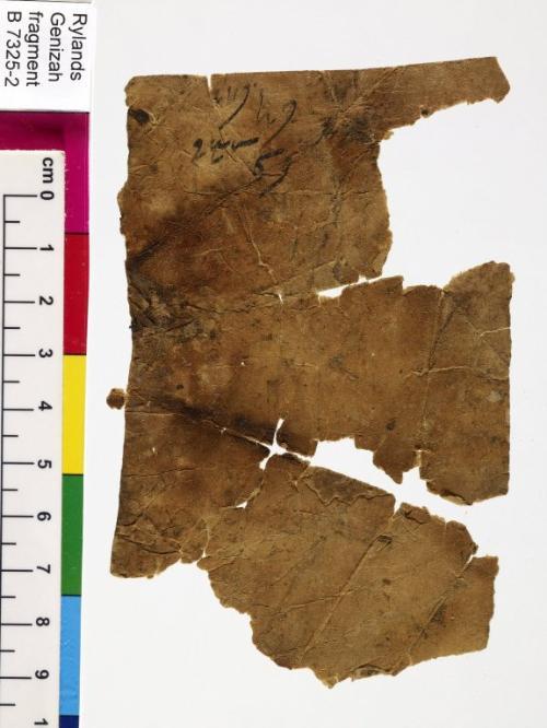 1 / 1 leaf, verso