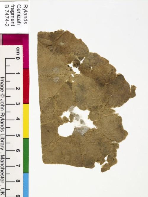 1 / 1 leaf, verso