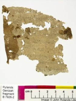 1 / 1 leaf, verso