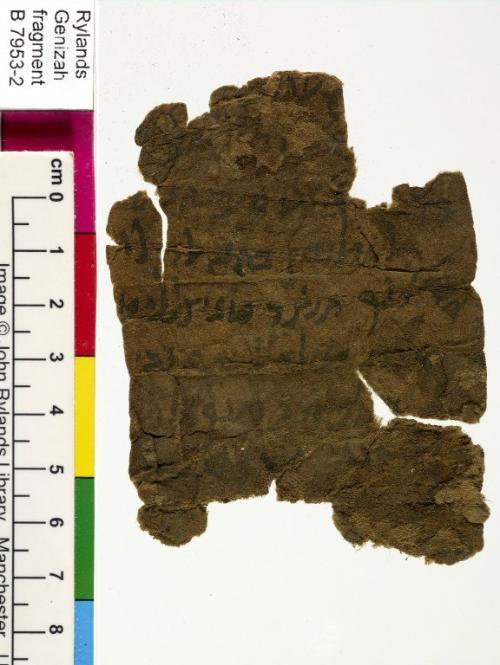 1 / 1 leaf, verso