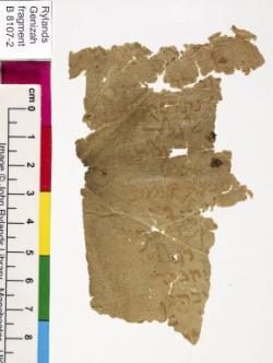 1 / 1 leaf, verso