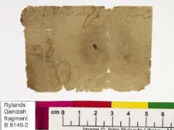 1 / 1 leaf, verso