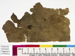 1 / 1 leaf, verso