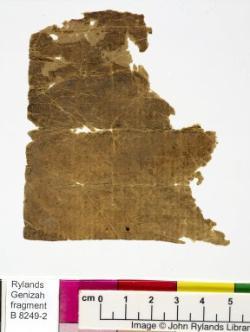 1 / 1 leaf, verso