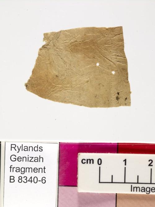 3 / 3 leaves, verso