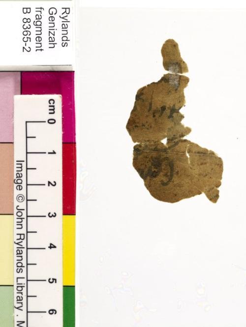 1 / 1 leaf, verso