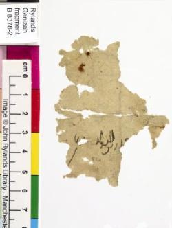 1 / 1 leaf, verso