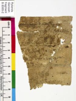 1 / 1 leaf, verso