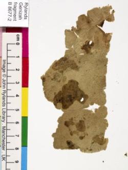 1 / 1 leaf, verso