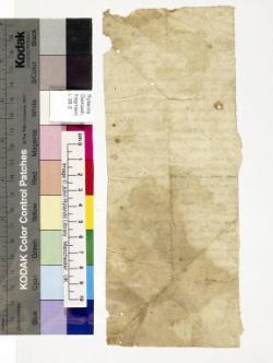 1 / 1 leaf, verso