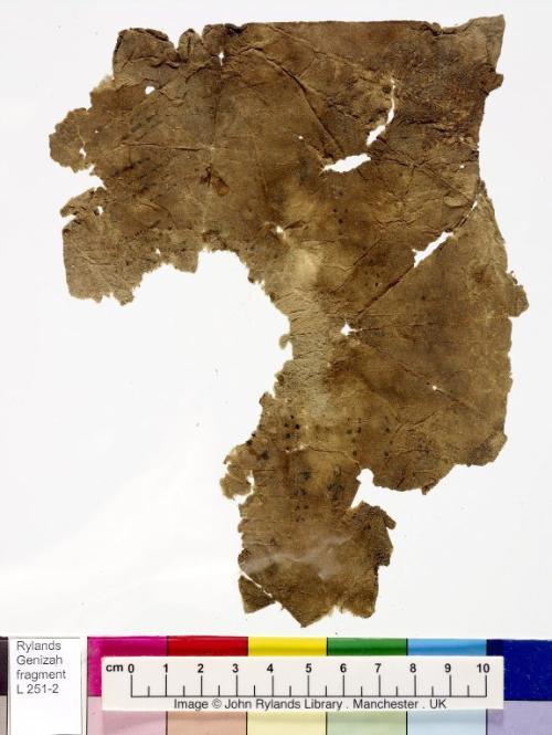 1 / 1 leaf, verso