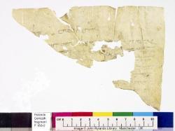 1 / 1 leaf, verso