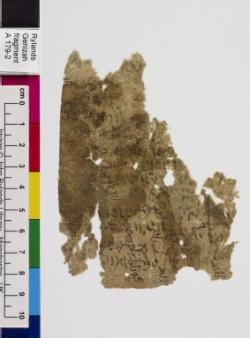 1 / 1 leaf, verso