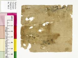 1 / 1 leaf, verso