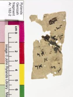 1 / 1 leaf, verso