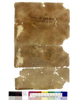 1 / 1 leaf, verso