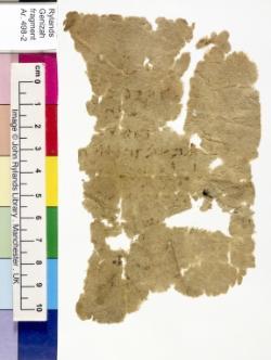 1 / 1 leaf, verso