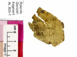 1 / 1 leaf, recto