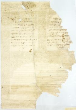 1 / 1 leaf, verso
