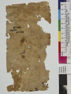 1 / 1 leaf, verso