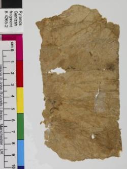1 / 1 leaf, verso