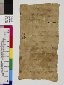 1 / 1 leaf, verso