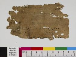 1 / 1 leaf, verso