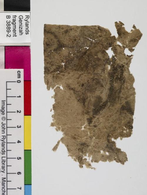 1 / 1 leaf, verso