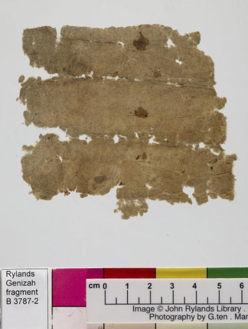 1 / 1 leaf, verso