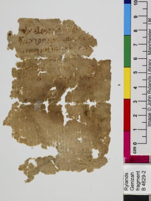 1 / 1 leaf, verso