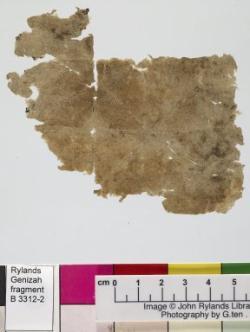 1 / 1 leaf, verso