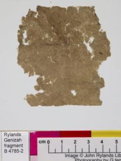 1 / 1 leaf, verso
