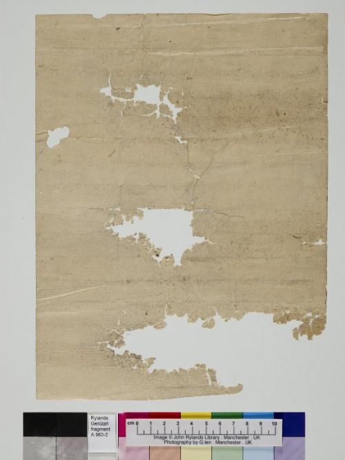 1 / 1 leaf, verso