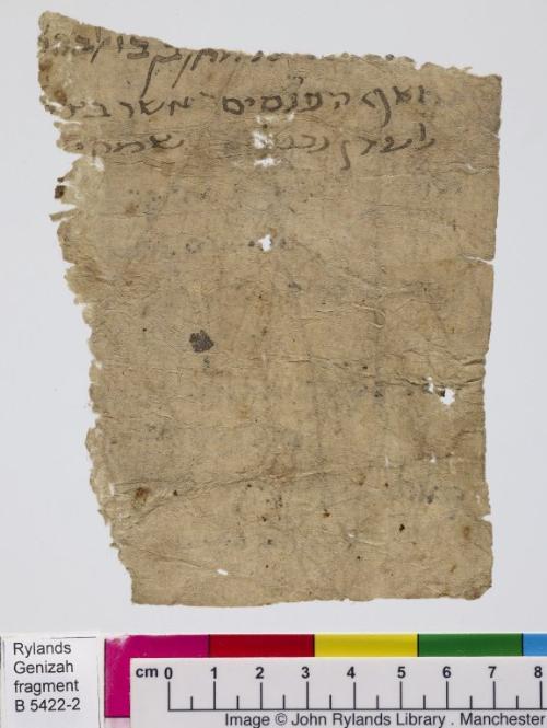 1 / 1 leaf, verso