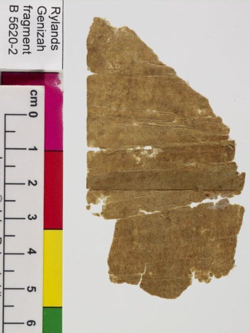 1 / 1 leaf, verso