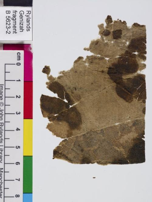 1 / 1 leaf, verso 1 / 1 leaf, verso