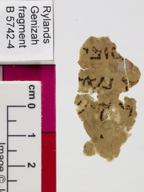 2 / 2 leaves, verso