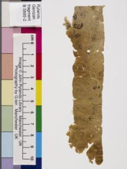 1 / 1 leaf, verso