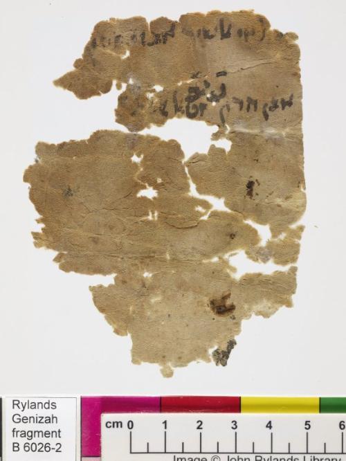1 / 1 leaf, verso