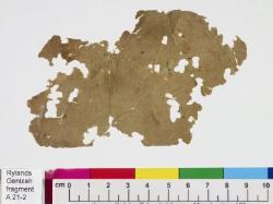 1 / 1 leaf, verso