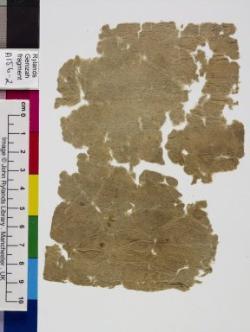 1 / 1 leaf, verso
