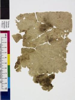 1 / 1 leaf, verso