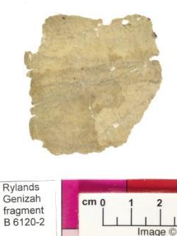 1 / 1 leaf, verso