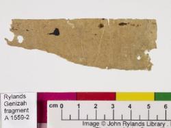 1 / 1 leaf, verso