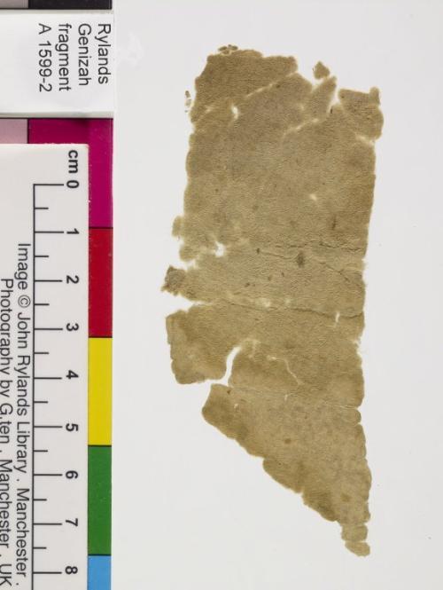1 / 1 leaf, verso