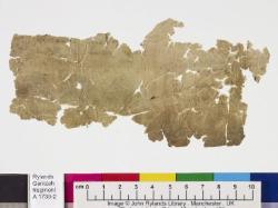 1 / 1 leaf, verso