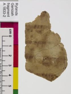 1 / 1 leaf, verso